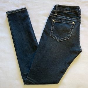 Daytrip Lynx Skinny Jeans 27L